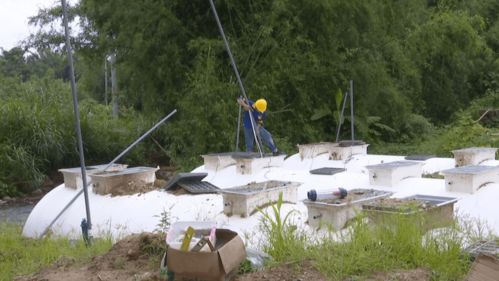 烈日下的坚守 环保项目建设者挥汗如雨保进度